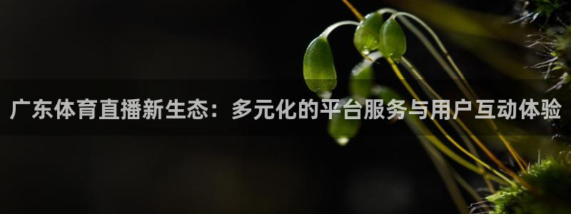 蓝鲸直播下载