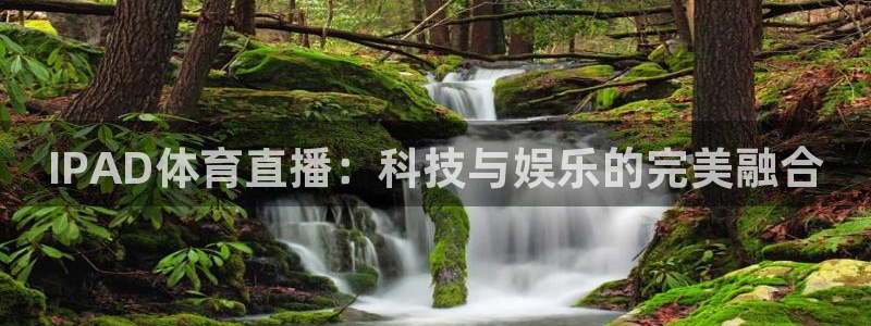 蓝鲸直播怎么下载