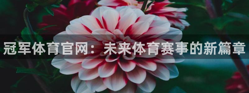 蓝鲸直播