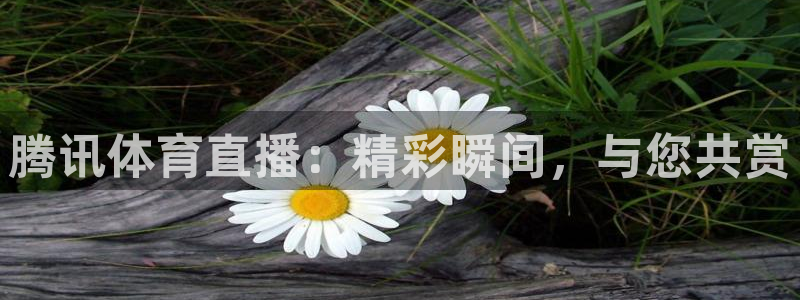 蓝鲸直播体育赛事