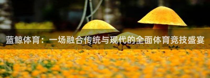 下载蓝鲸直播app