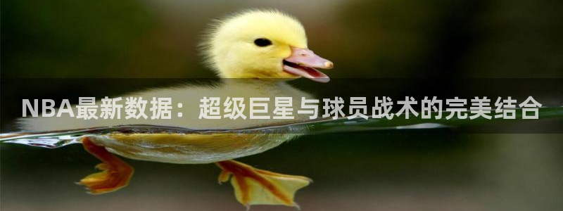 蓝鲸直播观看