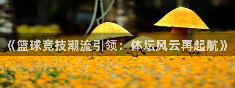 蓝鲸直播平台下载
