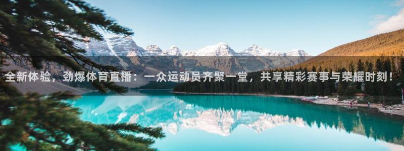 蓝鲸直播nba：全新体验，劲爆体育直播：一众运动员齐聚一堂，共享精彩赛事与荣耀时刻！