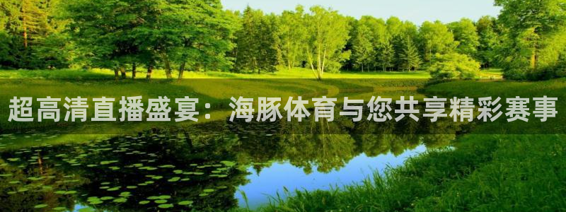 下载蓝鲸直播app：超高清直播盛宴：海豚体育与您共享精彩赛事