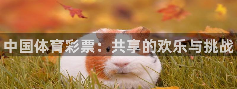 蓝鲸直播助手下载：中国体育彩票：共享的欢乐与挑战